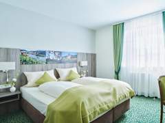 Zimmerbild 12