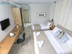 Zimmerbild 14
