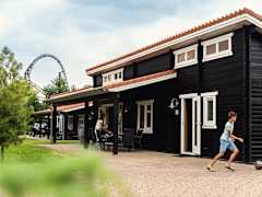 Zimmerbild 15