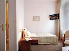 Zimmerbild 6