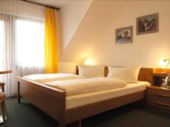 Zimmerbild 8
