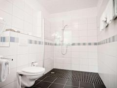 Zimmerbild 8