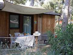 Zimmerbild 1