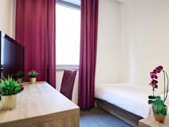 Zimmerbild 4