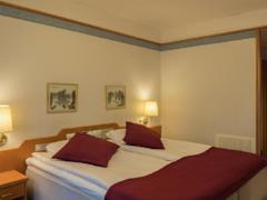 Zimmerbild 6