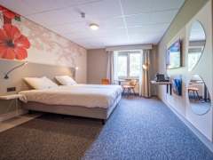 Zimmerbild 8