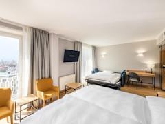 Zimmerbild 6