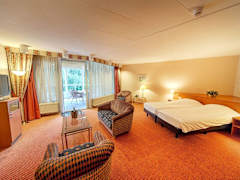 Zimmerbild 5