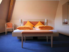 Zimmerbild 1