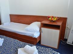 Zimmerbild 11