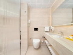 Zimmerbild 11