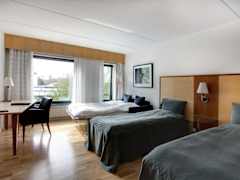 Zimmerbild 18