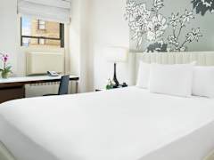 Zimmerbild 15
