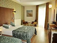 Zimmerbild 13