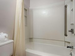 Zimmerbild 8