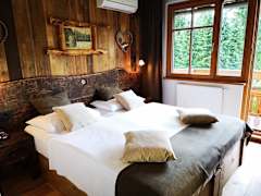 Zimmerbild 9