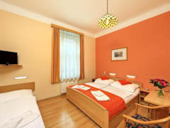Zimmerbild 17