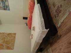 Zimmerbild 6