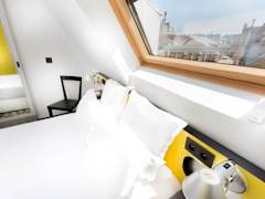 Zimmerbild 7