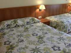 Zimmerbild 10