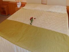 Zimmerbild 11