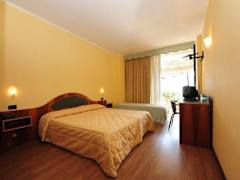 Zimmerbild 6