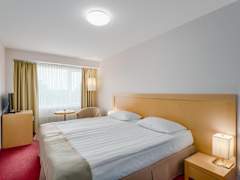 Zimmerbild 4