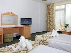 Zimmerbild 18