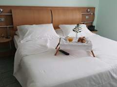 Zimmerbild 7