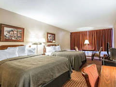 Zimmerbild 10
