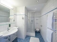 Zimmerbild 8