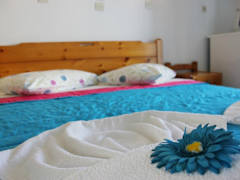 Zimmerbild 5