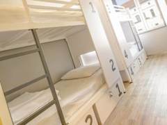 Zimmerbild 15