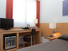 Zimmerbild 13