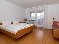 Zimmerbild 8