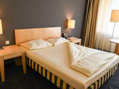 Zimmerbild 8
