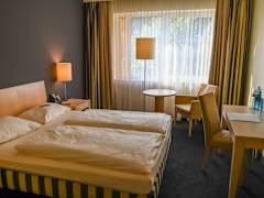 Zimmerbild 7