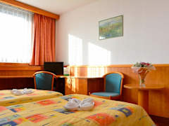 Zimmerbild 10
