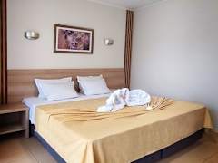 Zimmerbild 8