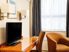 Zimmerbild 8