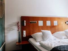 Zimmerbild 6
