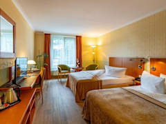 Zimmerbild 8