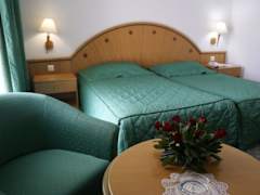 Zimmerbild 8