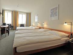Zimmerbild 15