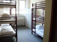 Zimmerbild 8