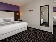 Zimmerbild 37