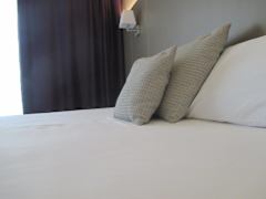 Zimmerbild 8