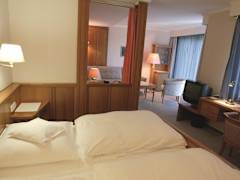 Zimmerbild 8