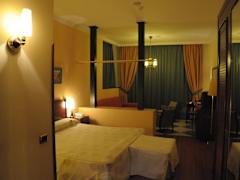 Zimmerbild 9