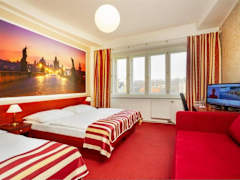 Zimmerbild 11
